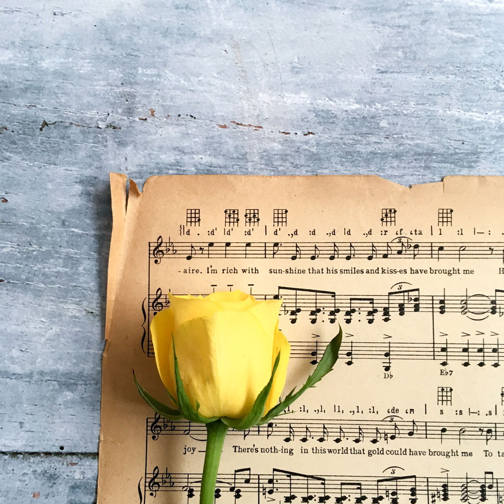Reception playlist ideas for string quartet