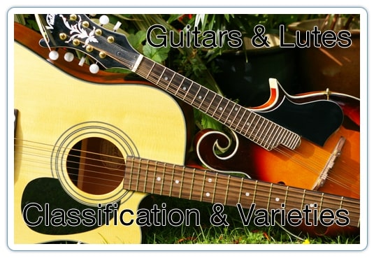 Guitars & Lutes – Classification & Varieties Featured Photo